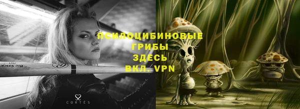 ГАЛЛЮЦИНОГЕННЫЕ ГРИБЫ Балабаново