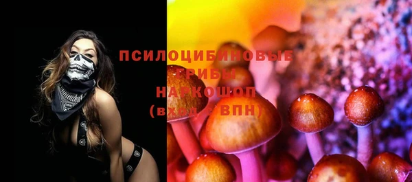 стаф Баксан