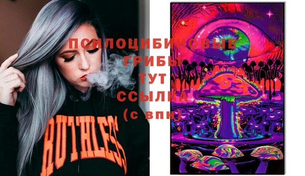 ГАЛЛЮЦИНОГЕННЫЕ ГРИБЫ Балабаново