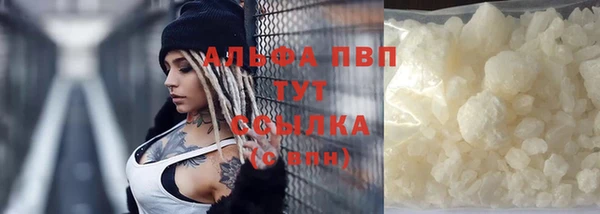 стаф Баксан