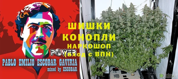 ГАЛЛЮЦИНОГЕННЫЕ ГРИБЫ Балабаново