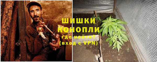 ГАЛЛЮЦИНОГЕННЫЕ ГРИБЫ Балабаново